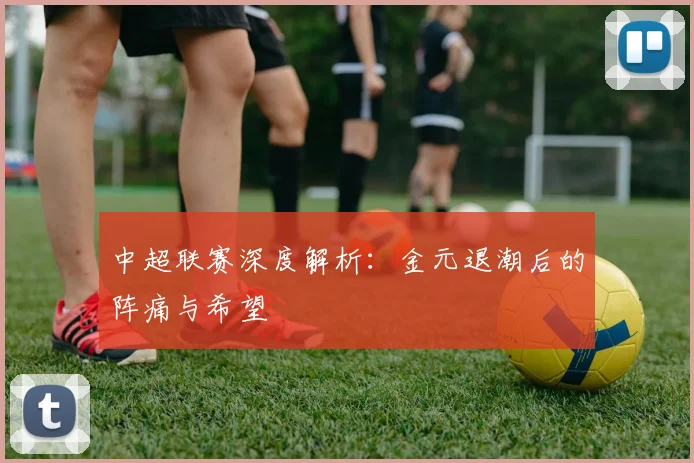 中超联赛深度解析:金元退潮后的阵痛与希望