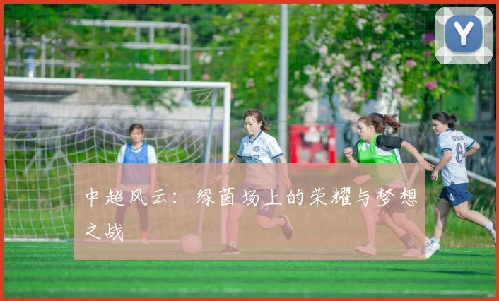 中超风云:绿茵场上的荣耀与梦想之战