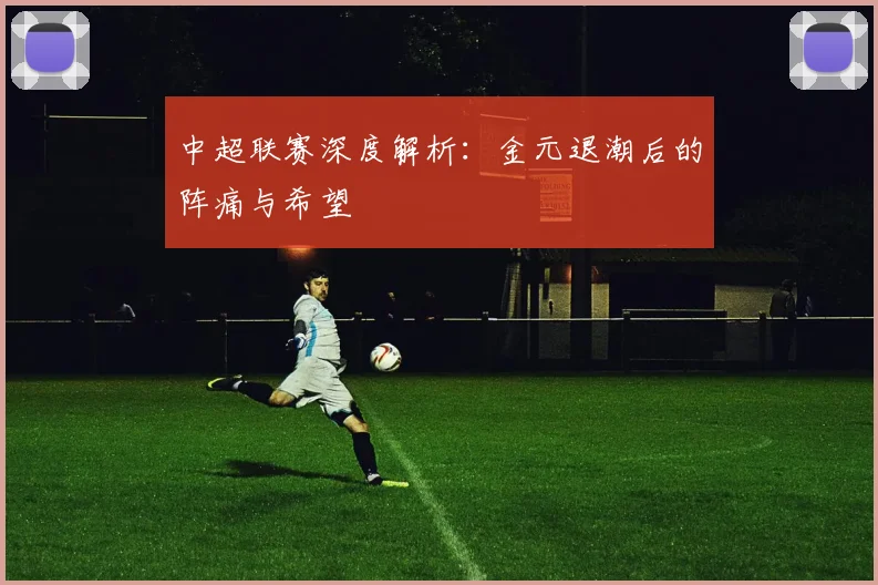 中超联赛深度解析:金元退潮后的阵痛与希望